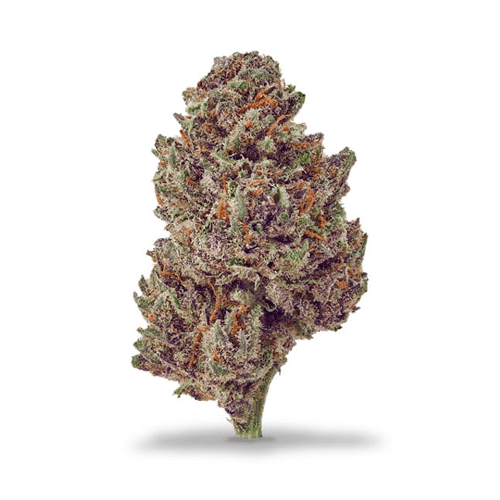 Entdecken Sie die Vorteile der Purple Punch CBD Blüte 2g