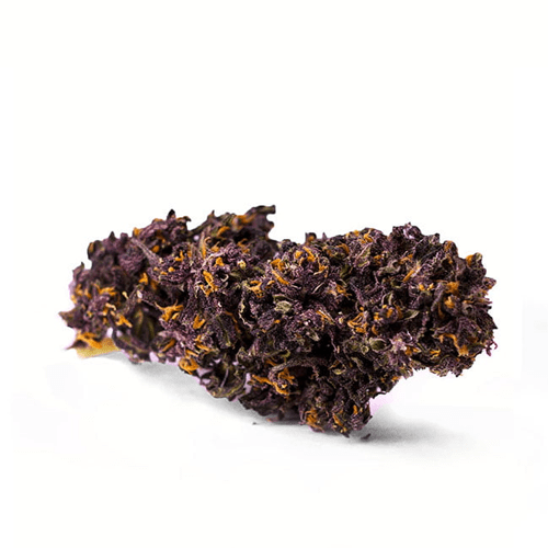 Erleben Sie die therapeutische Kraft von Purple Haze CBD Blüten 5g